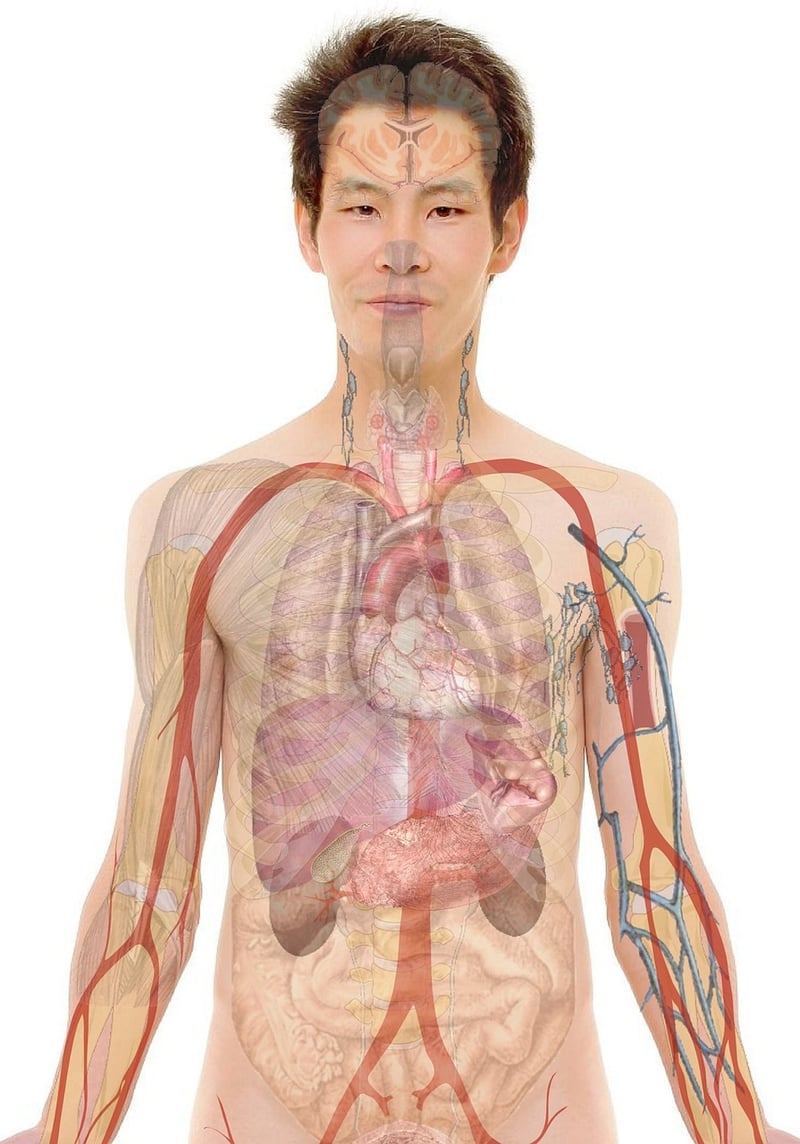 Body-mind connection